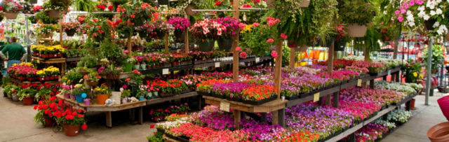 Garden Center - Soil Service